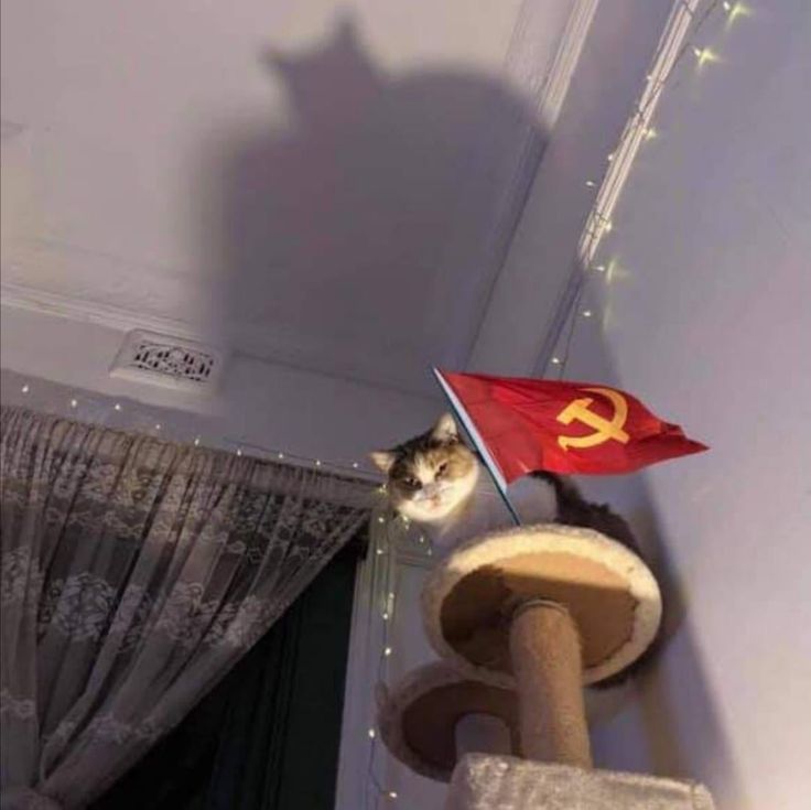 Yoldaş, ışığı kapatma. Gölge propagandası yapıyorum.