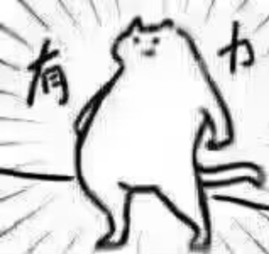 🥕胡萝卜吃兔子啦🐰 tweet media