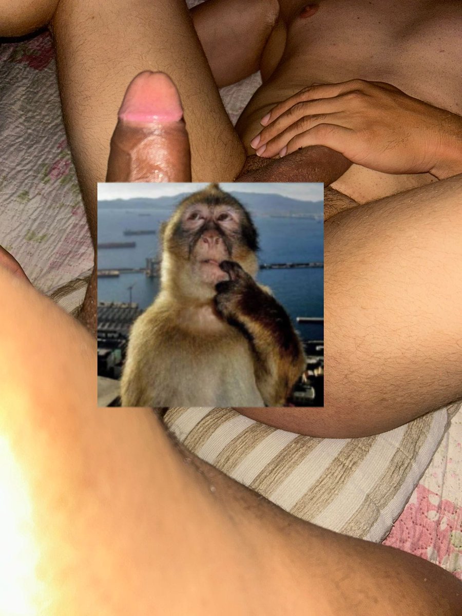 Videos no grupo vip já, comendo um rabo guloso hehehe 😋👀
Chama 🔥 t.me/NOVIN_259
#Chudai 
#novinhodopirocão 
RT 🔃 🙂‍↕️