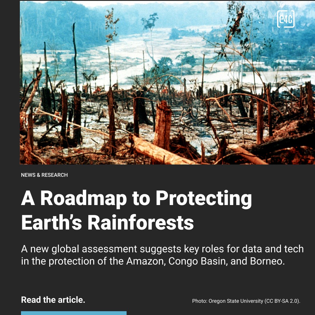 engineer4change's tweet image. The world’s rainforests are under intense threat. 
At #COP30, the Science Panel for the Amazon released a historic report on the Amazon, Congo Basin, and Borneo, grim findings, but 30 solutions.

Read the article.
🔗engineeringforchange.org/news/data-driv…

#E4C #DataDriven #ScienceForChange