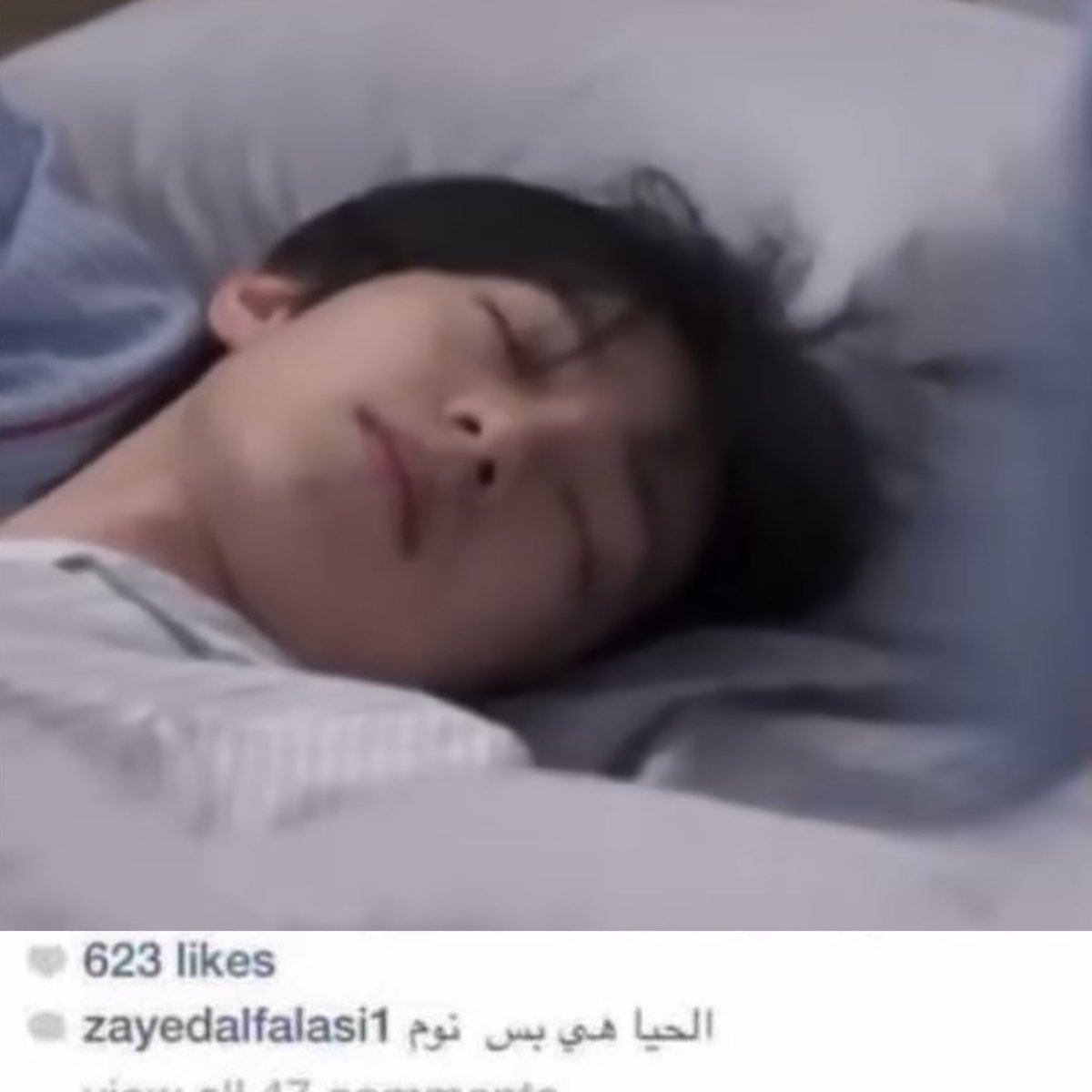 نصبح على خير