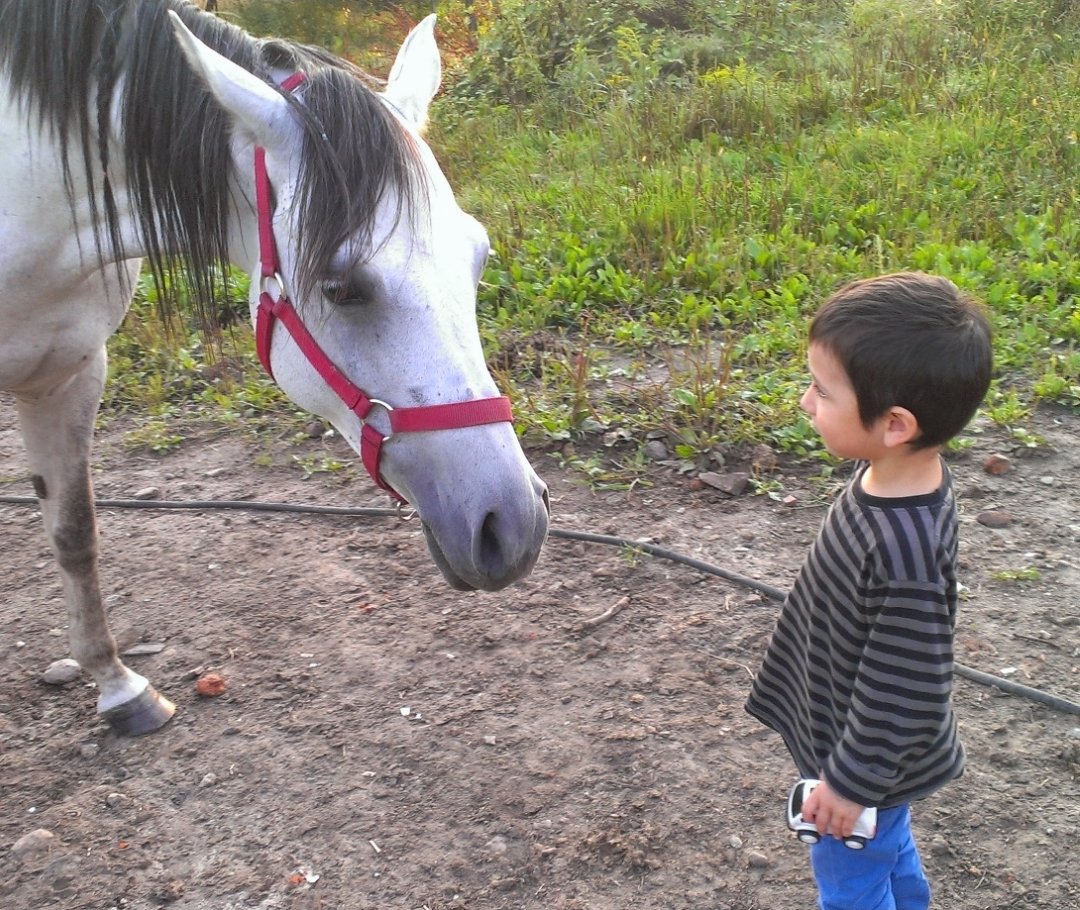 Das beste was mir im Leben passiert ist, ist Mutter zu sein.
Das hat mich stark und glücklich gemacht. 
Leider habe ich nur 2 Kinder. 
Mein Sohn ist jetzt 15 Jahre alt. Pflegegrad 4. Macht Führerschein für Mofa, geht ins Fitnessstudio und bewirbt sich jetzt für Praktikum bei