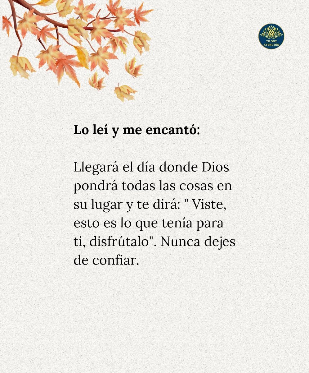 AtencionYoSoy's tweet image. ✨✨