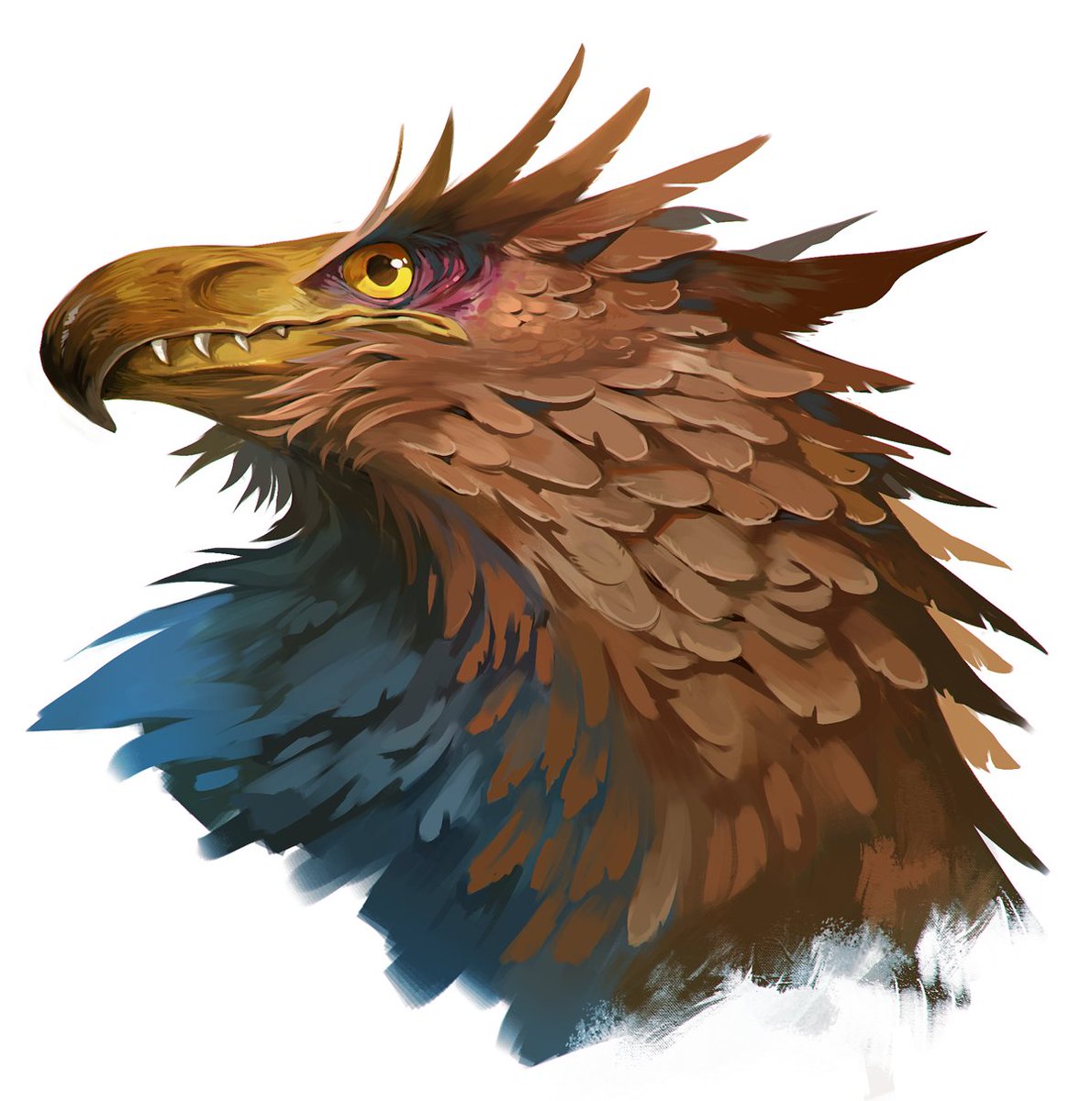 hanghul's tweet image. Some birbs!