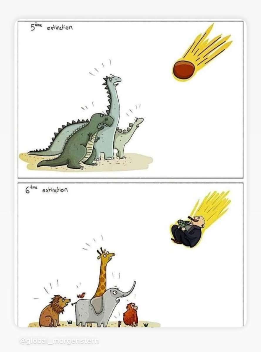 ActisAndres's tweet image. 