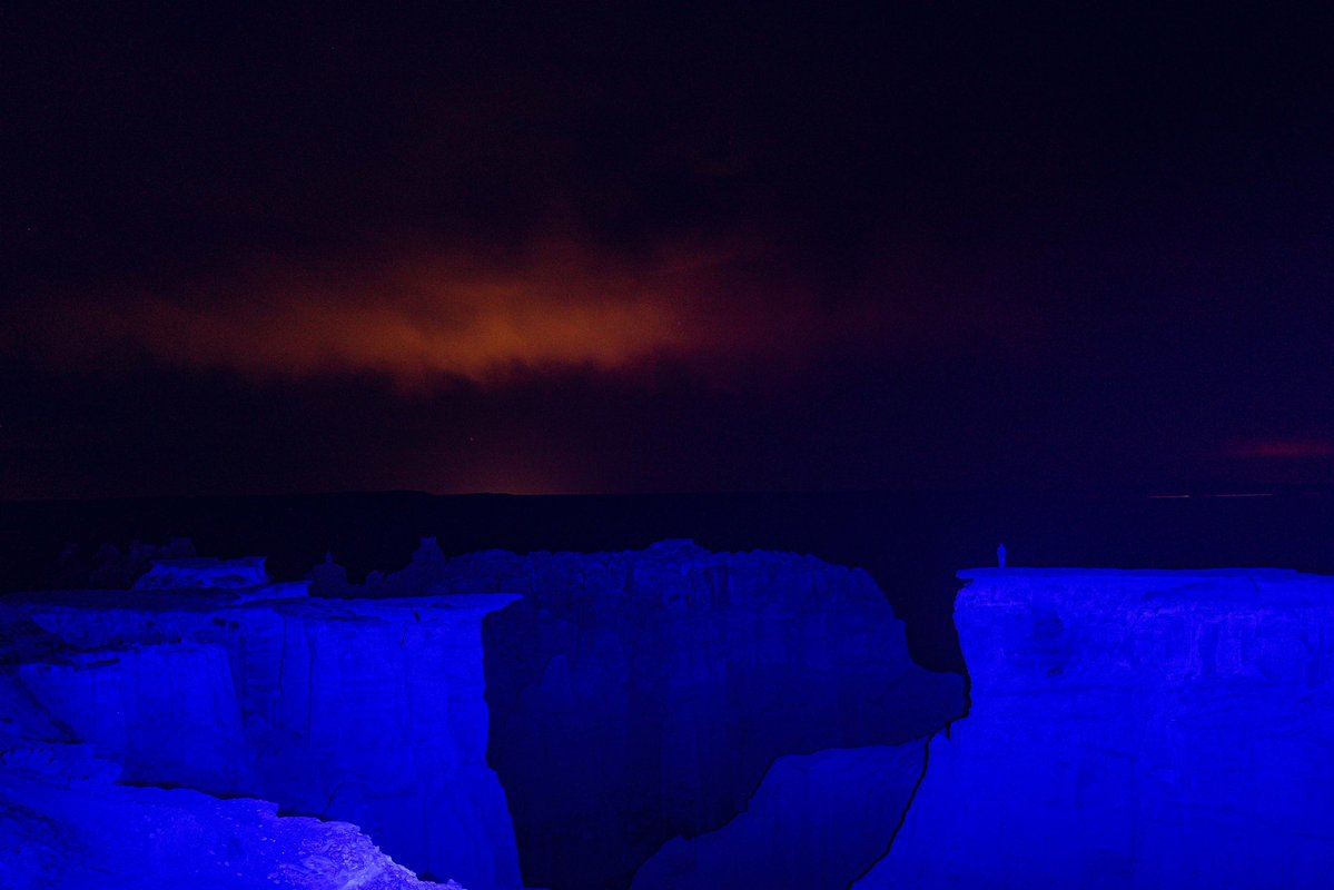 briscoepark's tweet image. going for a walk