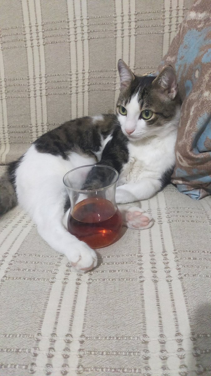 Çay var içersen ben var seversen 😻😁