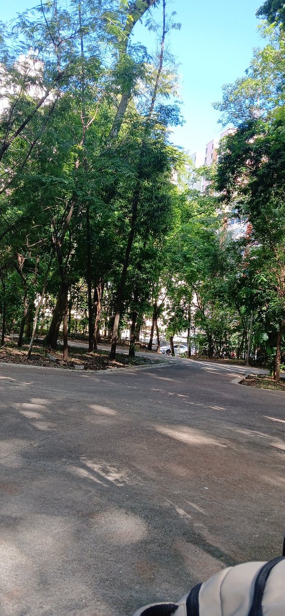 esse bosque é maneirin