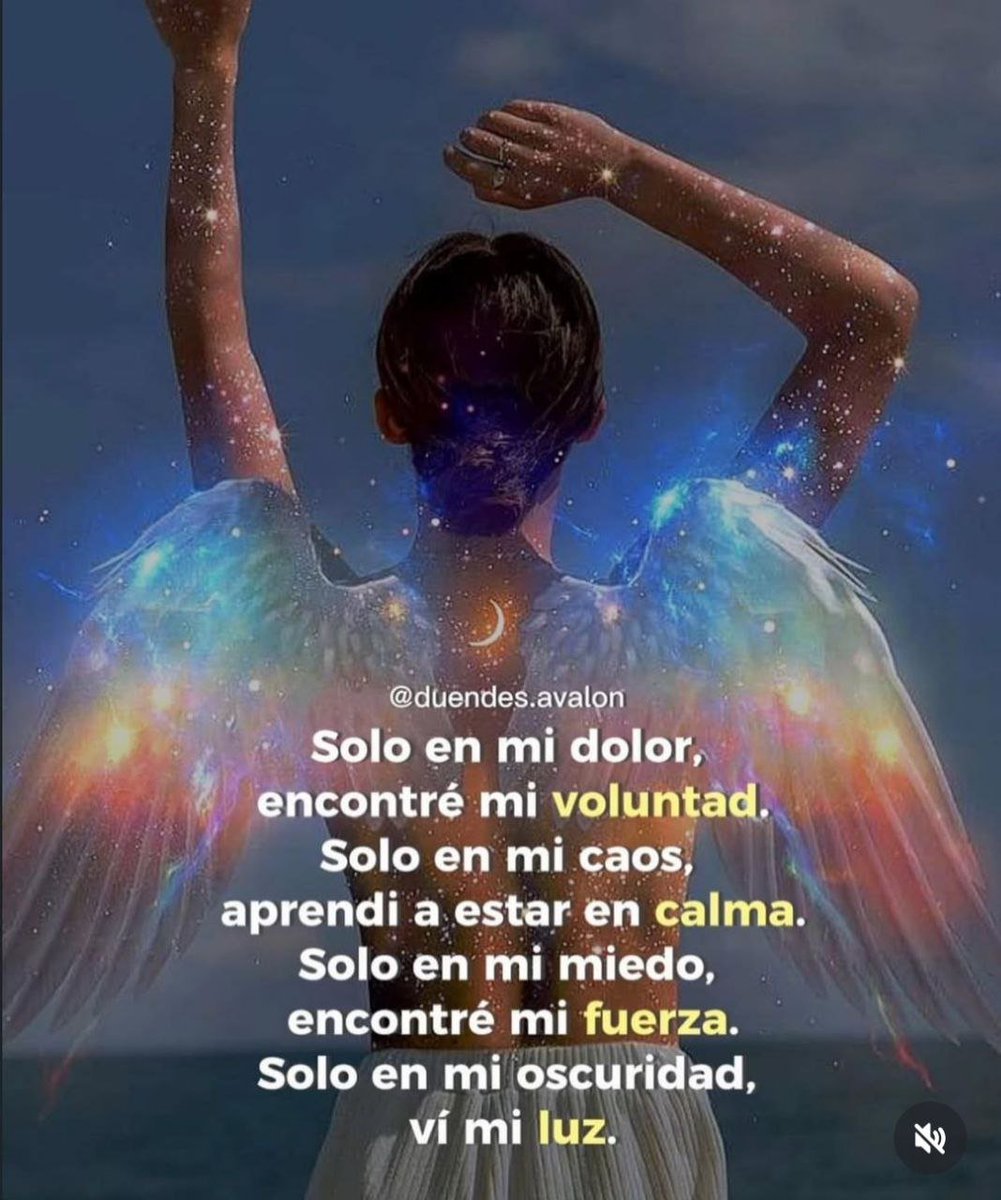 DanPon (@dani_pon86) on Twitter photo 