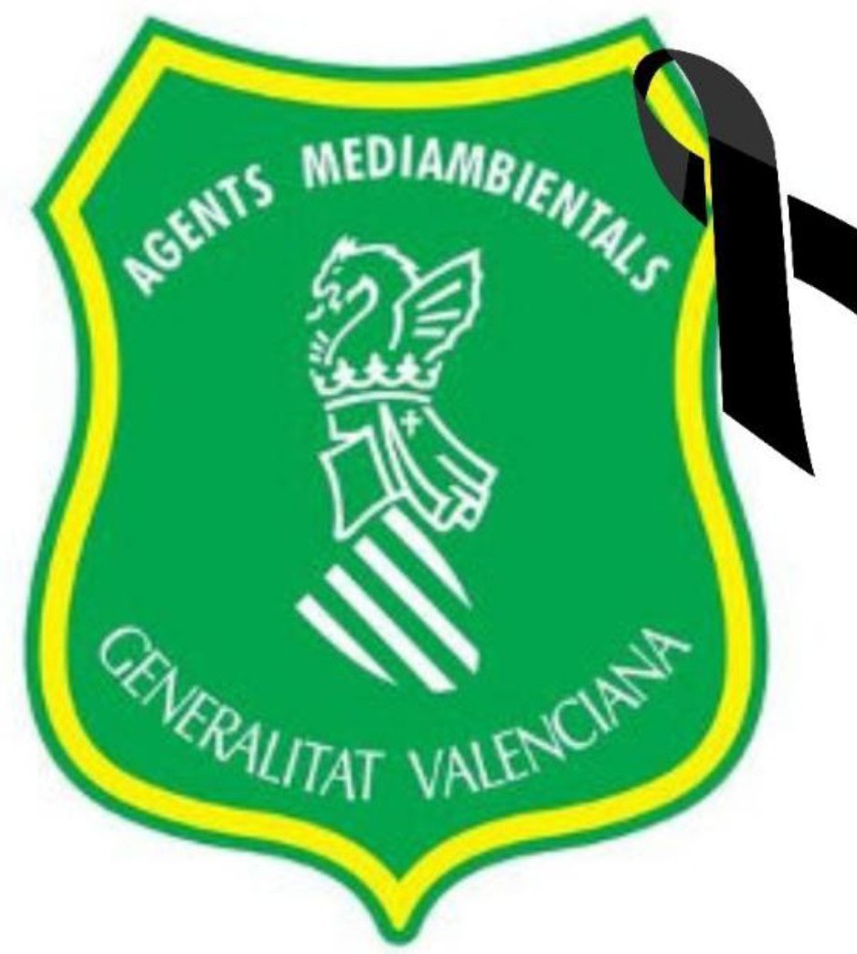 Lamentamos comunicar el fallecimiento de una compañera Agente Medioambiental en acto de servicio GIA.

Todo nuestro cariño y afecto a la familia y compañeros.

levante-emv.com/marina/2025/11…