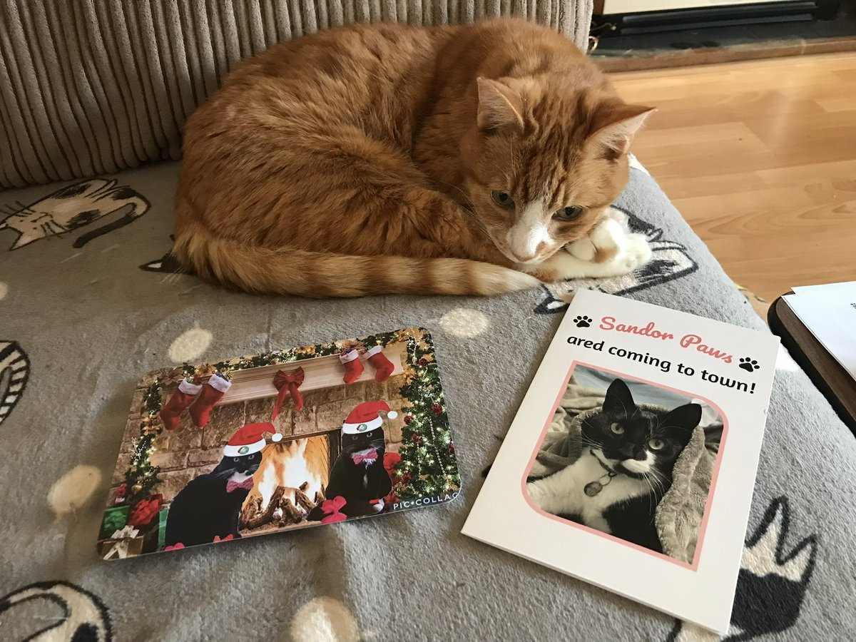We’ve had two more Crispmouse cards today from our pals Sierra and Savvy, and Mitzi, all the way from Australia.
Thanks pals 🤗🧡🐾
<a href="/MissTArchie1/">Sierra, Savvy & Angels Archie & Miss T 🌈</a> <a href="/MissyElsie/">🏳️‍🌈Mitzi 💜 Dook (RIP)🇦🇺</a> 
#Hedgewatch