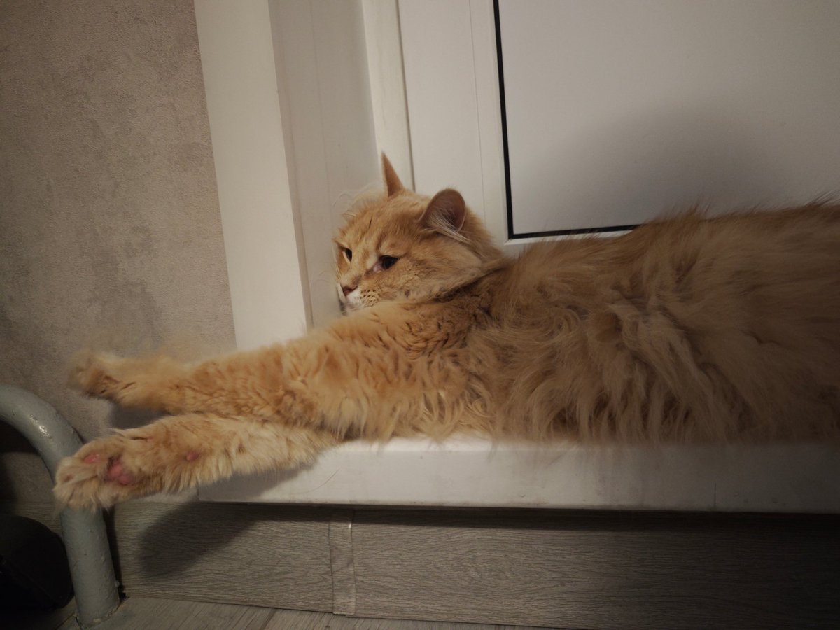 сржз tweet media