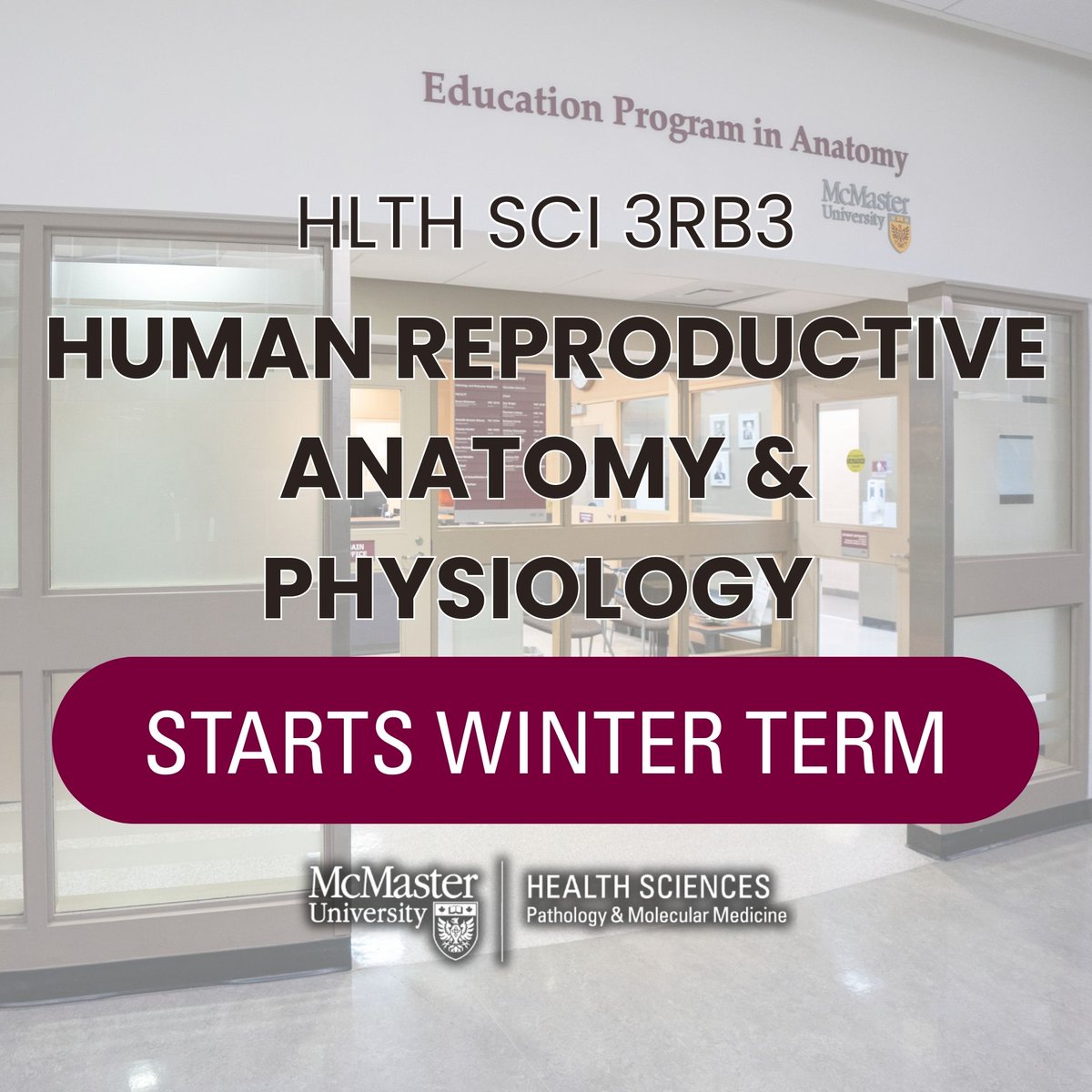 McMasterPMM's tweet image. ⭐ New Course: HTHSCI 3RB3 – Human Reproductive Anatomy &amp;amp; Physiology 🫀 

Explore anatomy, physiology, &amp;amp; reproductive health through case-based tutorials, lab sessions, and lectures.

Now available for enrollment!
#McMasterHealthSci #HTHSCI @machealthsci