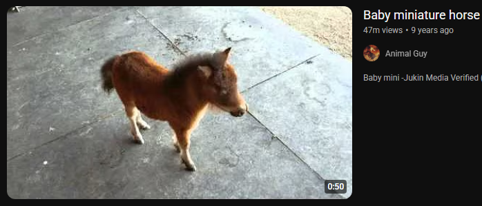 this is what opera looks like to anyone above 5'5