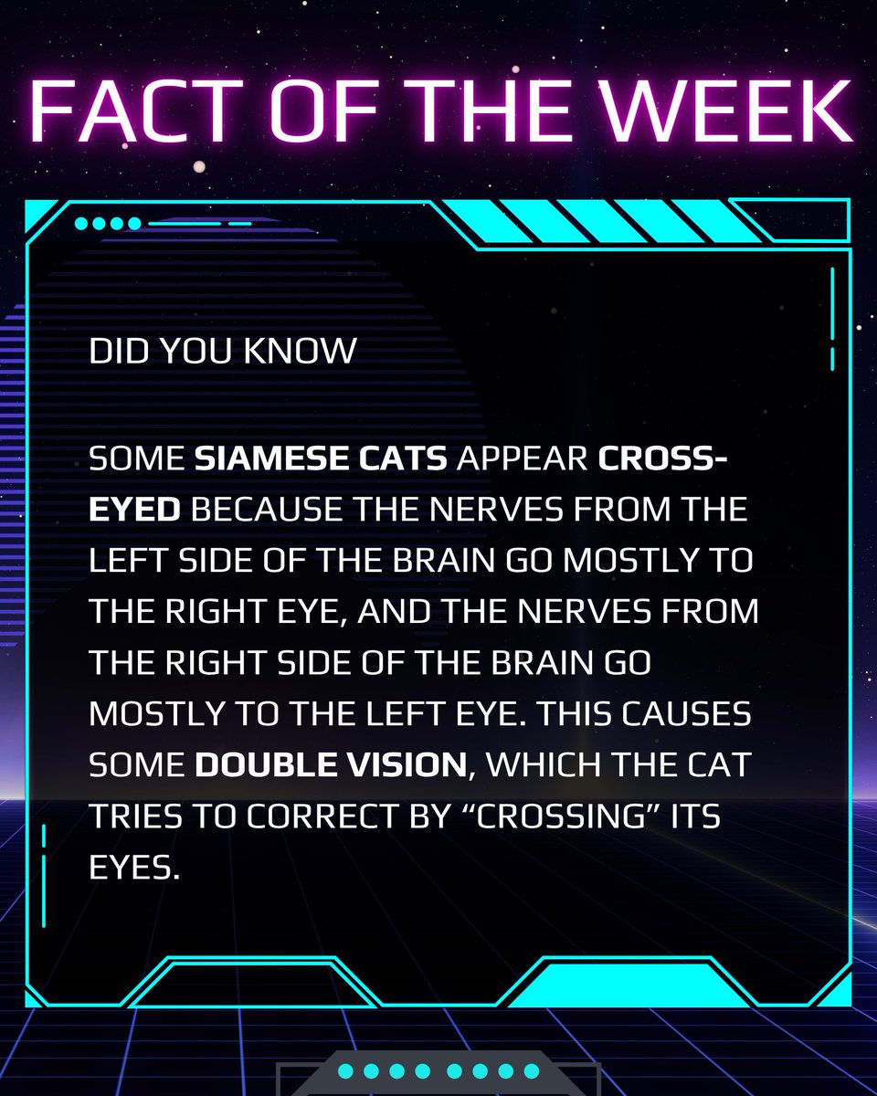 rightroaded's tweet image. #FactOfTheWeek #EdTech #LifeLongLearning #RightRoadEdTech #LearningIsFun