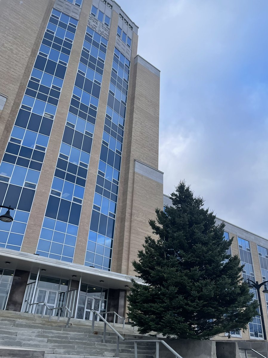 Something festive has arrived at Confederation Building.🎄
 
This 30 foot white spruce from Conception Bay South will be lit on December 4 during the Winter Lights Across Canada event, with more than 60,000 LED lights bringing brightness to the Prince Philip Drive area.
 
Here’s