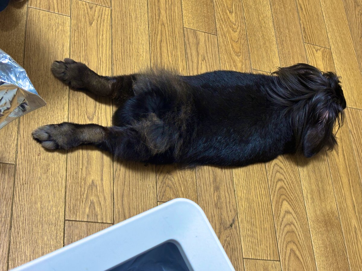 fumi_sachi's tweet photo. 社長から「20時からカイロプラクティックを予約しておいたから行ってこい」と業務連絡があり、施術を受けに行ったら「体ボロボロでこのまま1〜2週間放置してたら倒れてたかも」って言われたの🥹
終わったあと頭痛がなくなって呼吸が楽になった事にびっくり👀

たまには休んでリラックスしなくちゃね😚 https://t.co/aFhx80oNqW