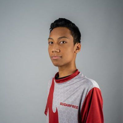 the warrior (@bombsniffingpom) on Twitter photo 