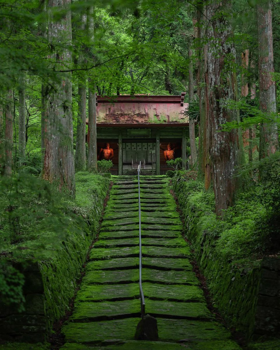 Step into a world where silence grows like moss🍃✨

Hidden in Japan’s quiet hills, Konsho-ji Temple invites you to slow down and breathe in the stillness. Wander through moss-covered paths, listen to the rustle of leaves, and feel time soften around you🏔

Add this serene