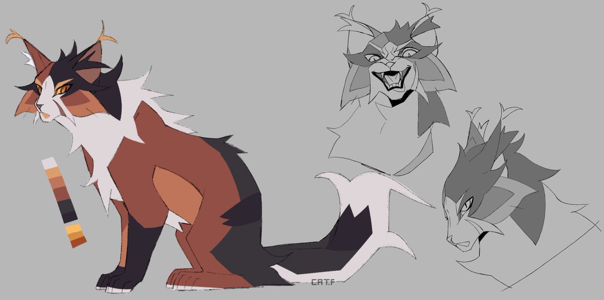 I think this redesign looks much better than the previous one
#mapleshade #warriorcats #warriorcatsfanart