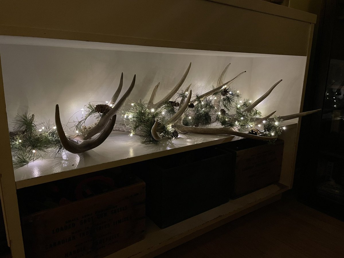 bscomet22's tweet image. 🎄 😊