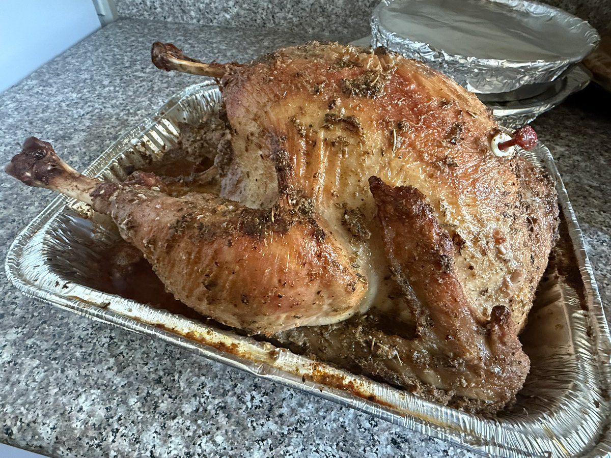 Continuing on my birthday tradition, by making my turkeyday meal, on the b-day! 

Didn’t have all the ingredients I usually use, so had to improvise. 

Super stoked with how it turned out! 

 Now, to get ready for James Cameron! ✨🤩