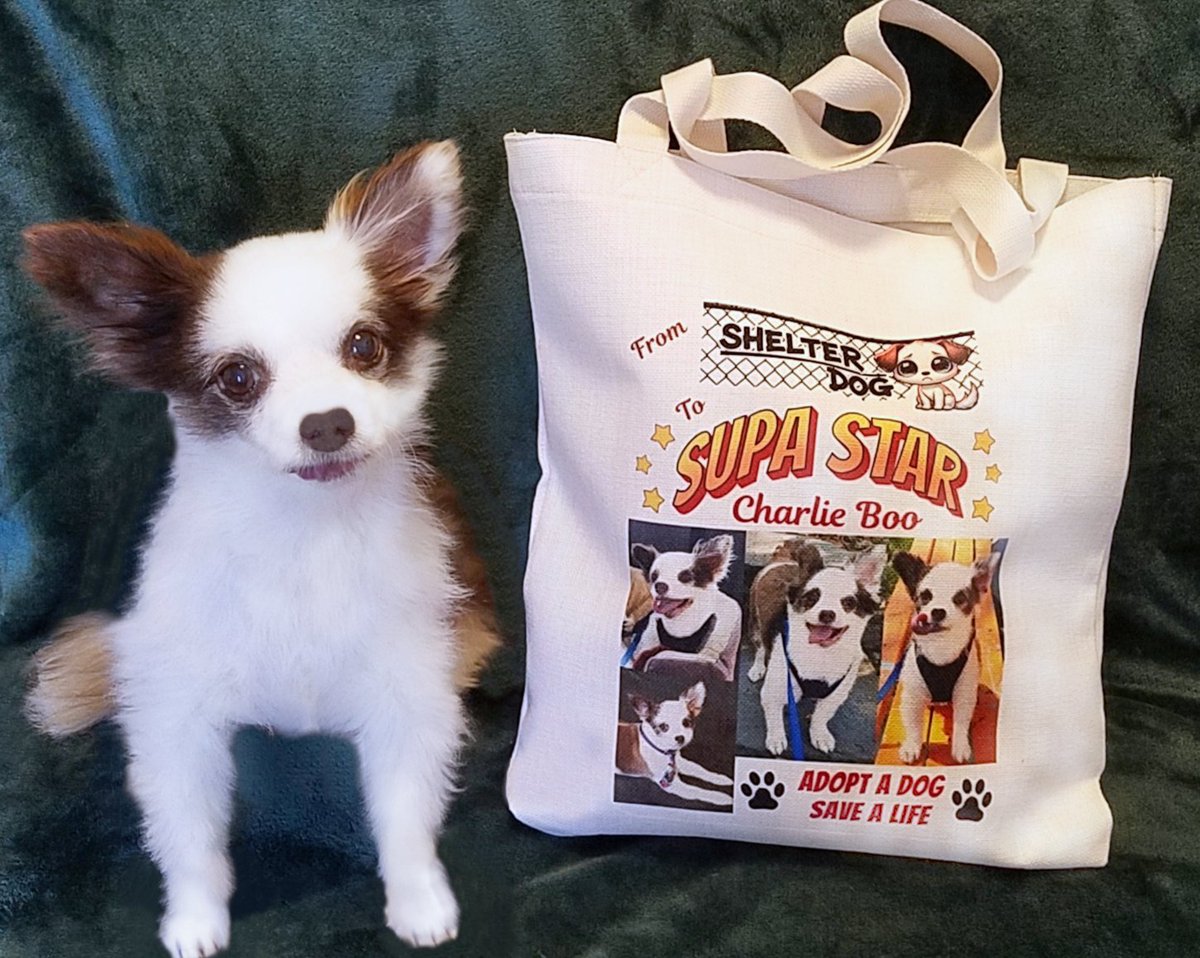 HAPPY #ToT 😛!🎉
I been asked bout da manee 👅 on my new Tote!
Allow me to pupsplain:
Upper Left: "Inside Curler", an advanced move!😊
Center: "Joyful Hanger", happens at da park!🌲
Right: "Full Curler", da rarest of all!😛😂
➡️RETWEET my PINNED Tweet please!😛❤️🐶
#dogsofX