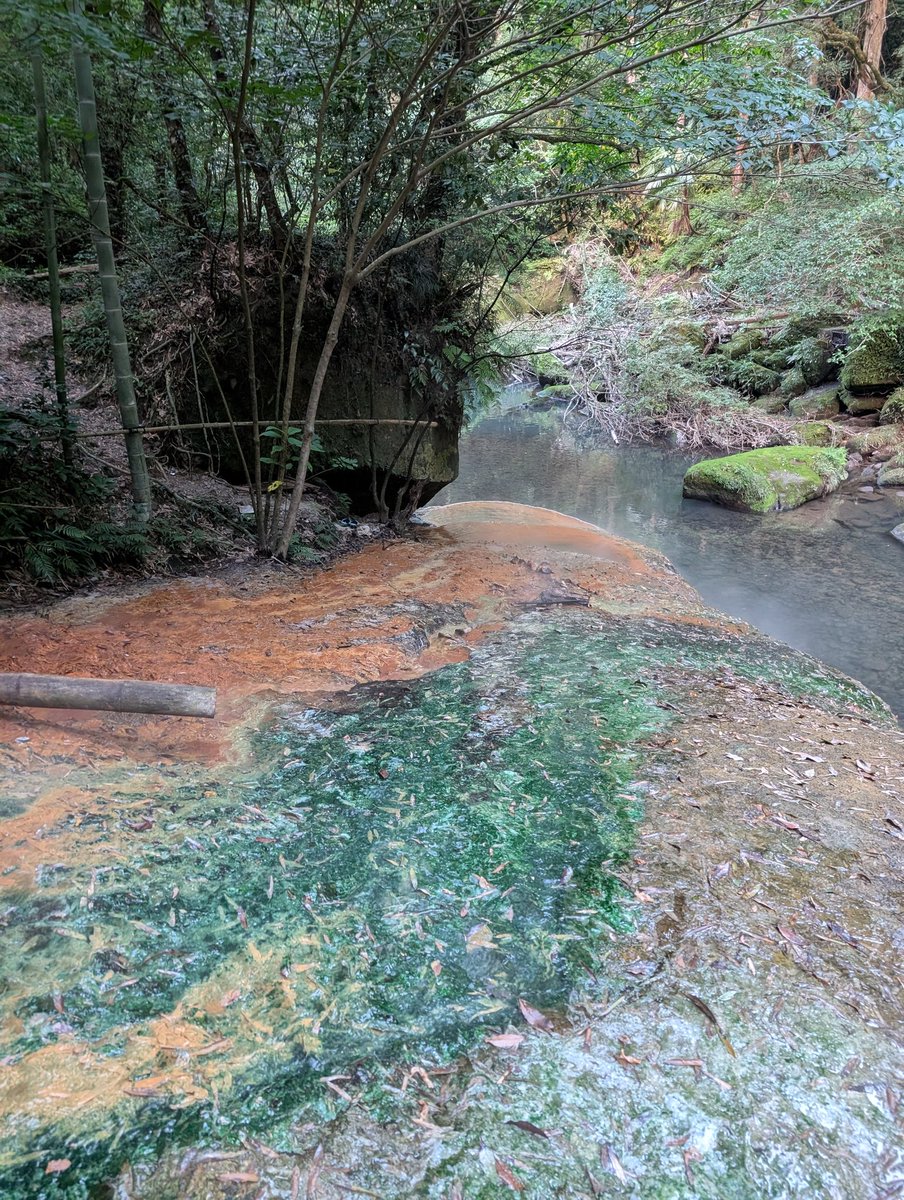 EComgmail's tweet image. #いい風呂の日
いい風呂だったなぁ…
妙見温泉良かったなぁ…
また行きたい…