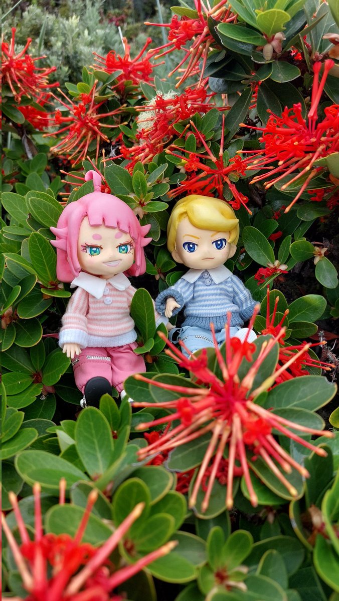 More photos✨️❤️

I'm back to home early tomorrow.
Time to back to the work with more energy and refreshed ✨️