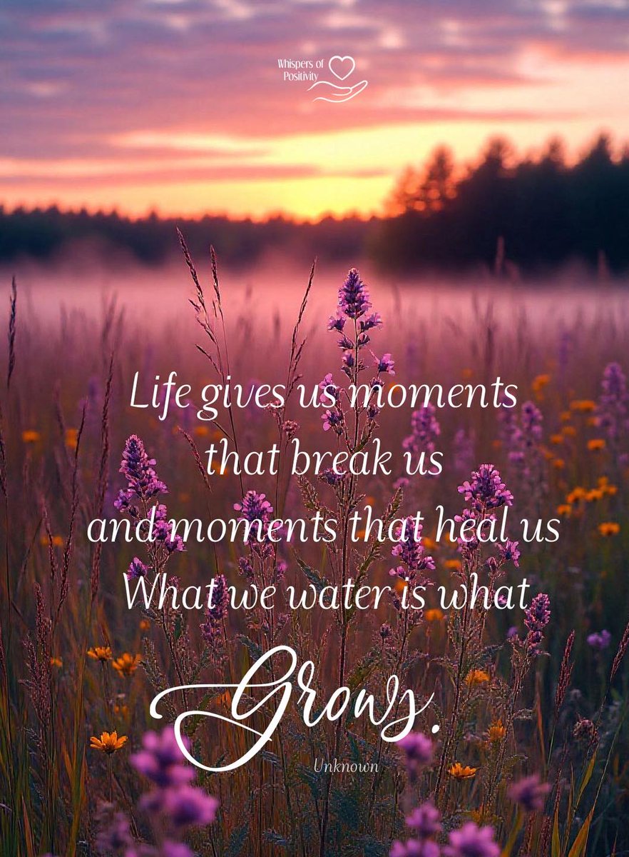 Life gives us moments that break us and moments that heal us.
What we water is what grows. - Unknown Author
