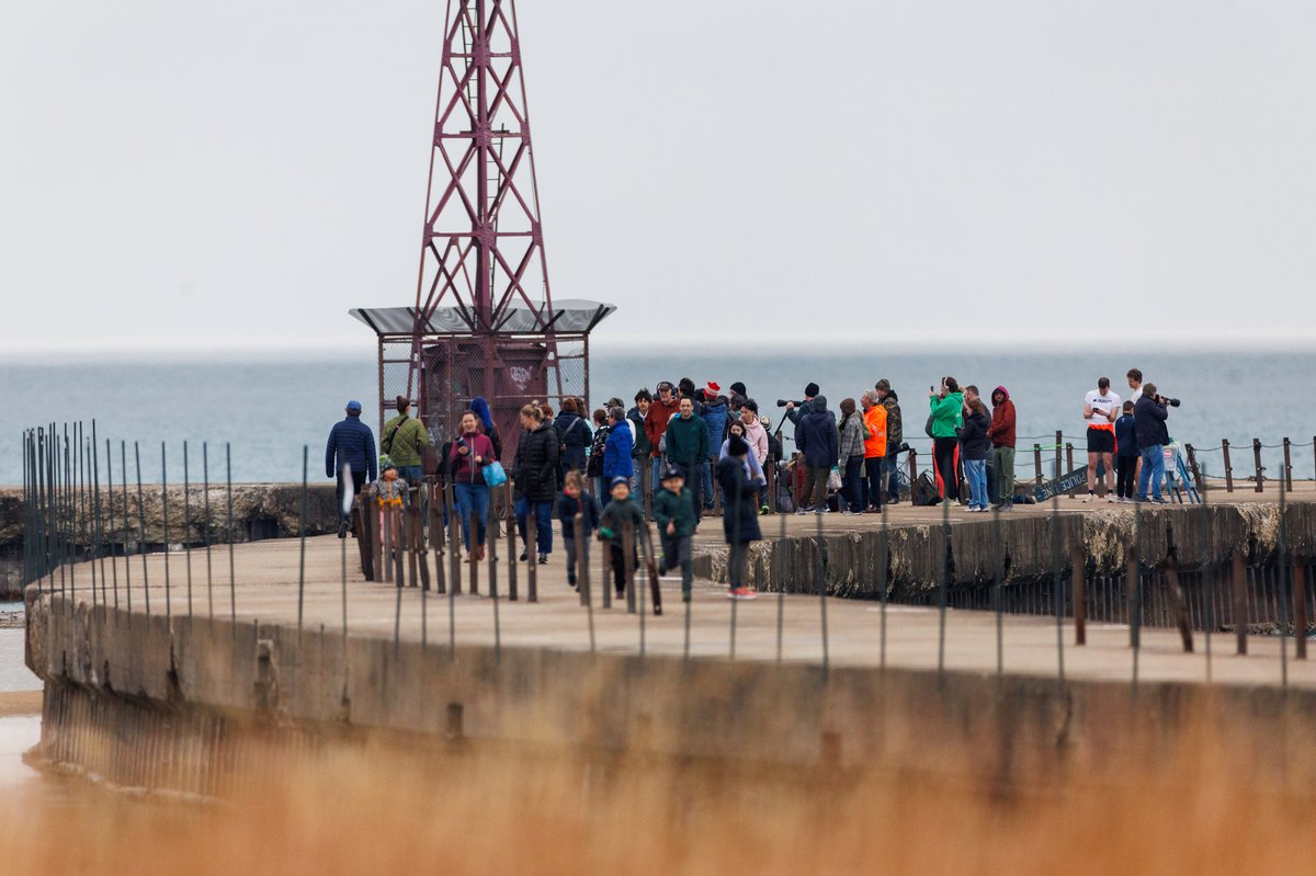 People watch two snowy owls near Montrose Beach Tuesday evening in Chicago. 

“We have more of a yard than you’d ever have in rural America,” 36-year-old Lee Applewhite of Chicago said. “A backyard that’s free…the bird sanctuary, the beach, that’s sick.”
