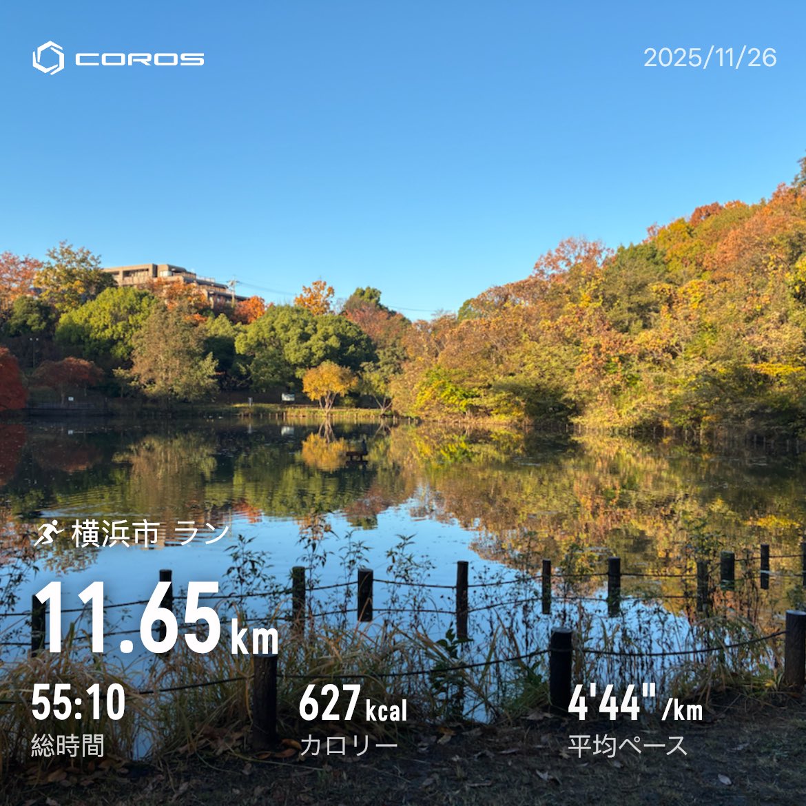 runycorrer's tweet photo. ラン
　E55分
　(11月合計293km / T152分 / M55分)
#サブエガ  #coros #pacepro https://t.co/oqtxJyioC8