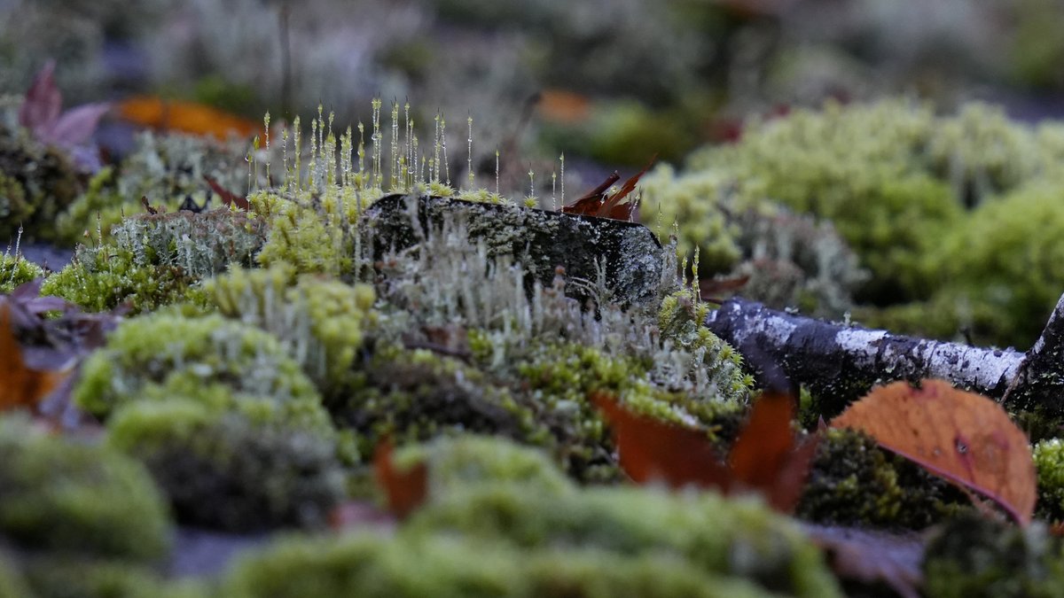 渡邊洋一 tweet media