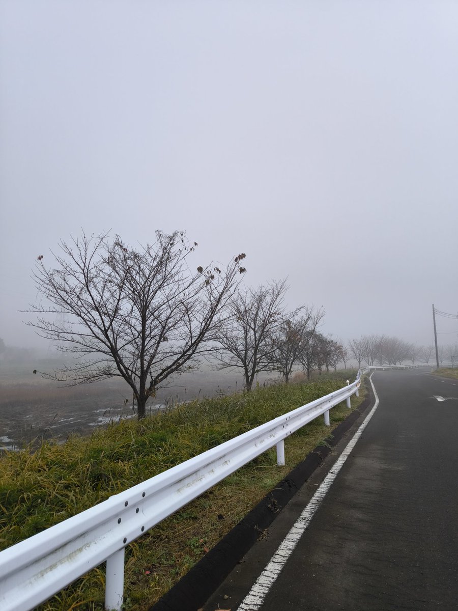 to_mo2momomomo's tweet image. サイレントヒルfをやりすぎたのか朝起きたらサイレントヒルみたいになってた💦何も見えん。。