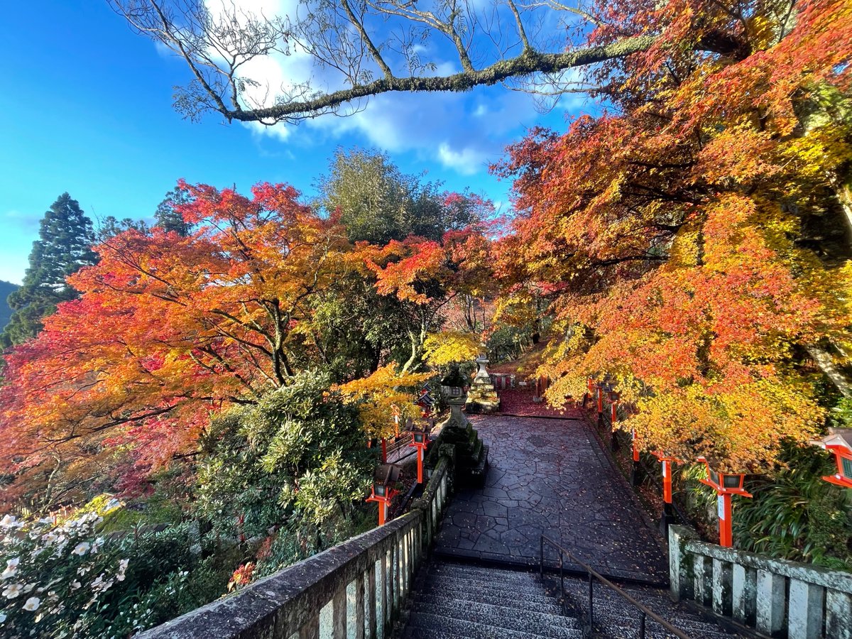 さとちゃん18 (@satochan1855) / Posts / X