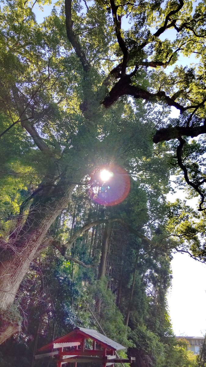 おはようございます。