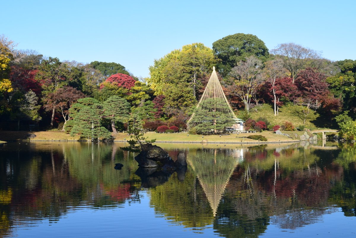 紅葉は見ごろを迎えております。 本日の最終入園時間は16時30分（閉園