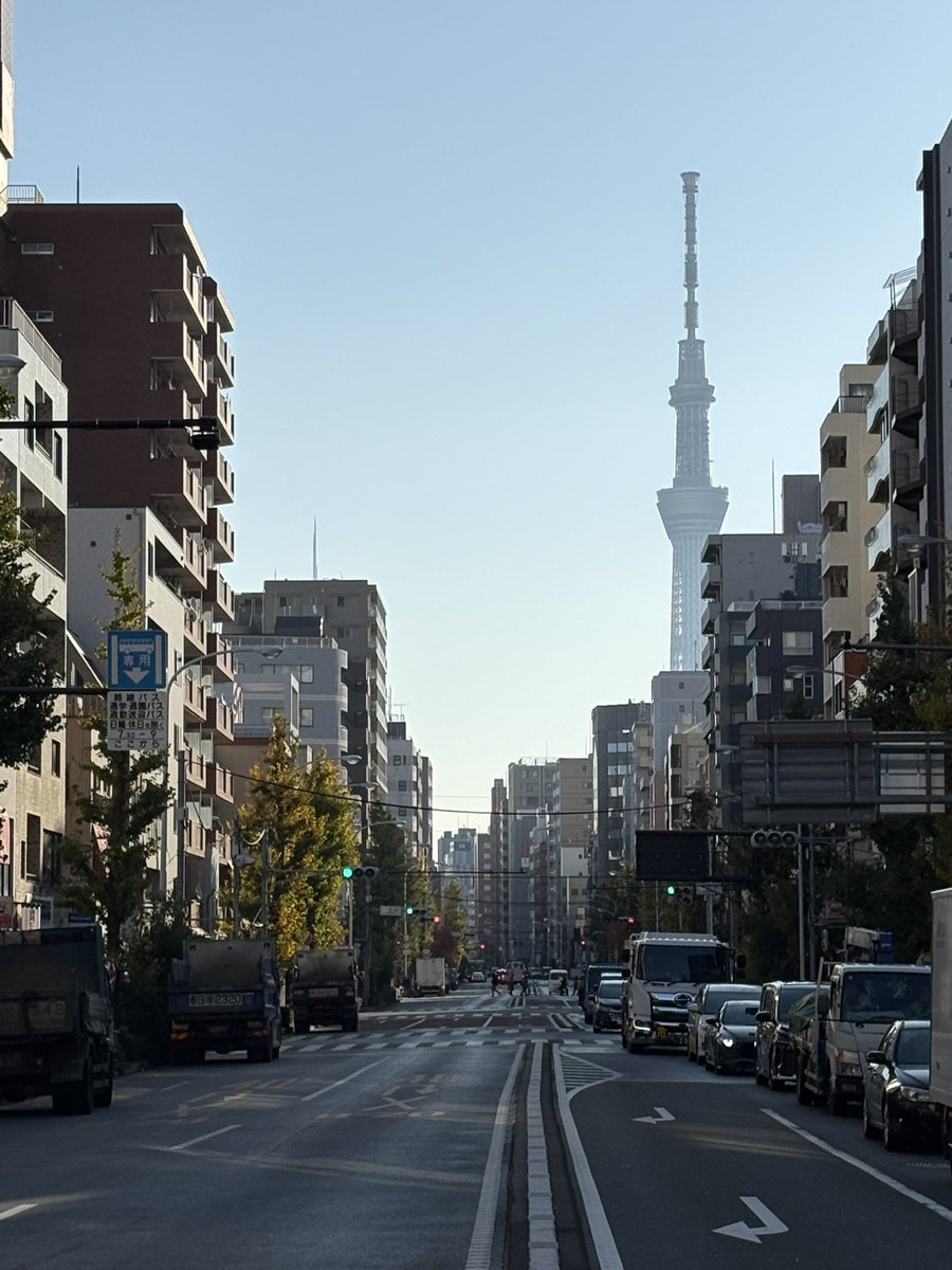 tkdfmt_x's tweet image. #おはようございます！

風は北より、感じるを超えて意識する、というぐらいの東京下町の朝です
（どうやら昨日よりも暖かくなるらしい）

#東京スカイツリー さんの写真はかすんで見えるものの、空は一面の「あお」、雲一つない青空は久々です

今日も一日、#健康第一 #安全第一 で！