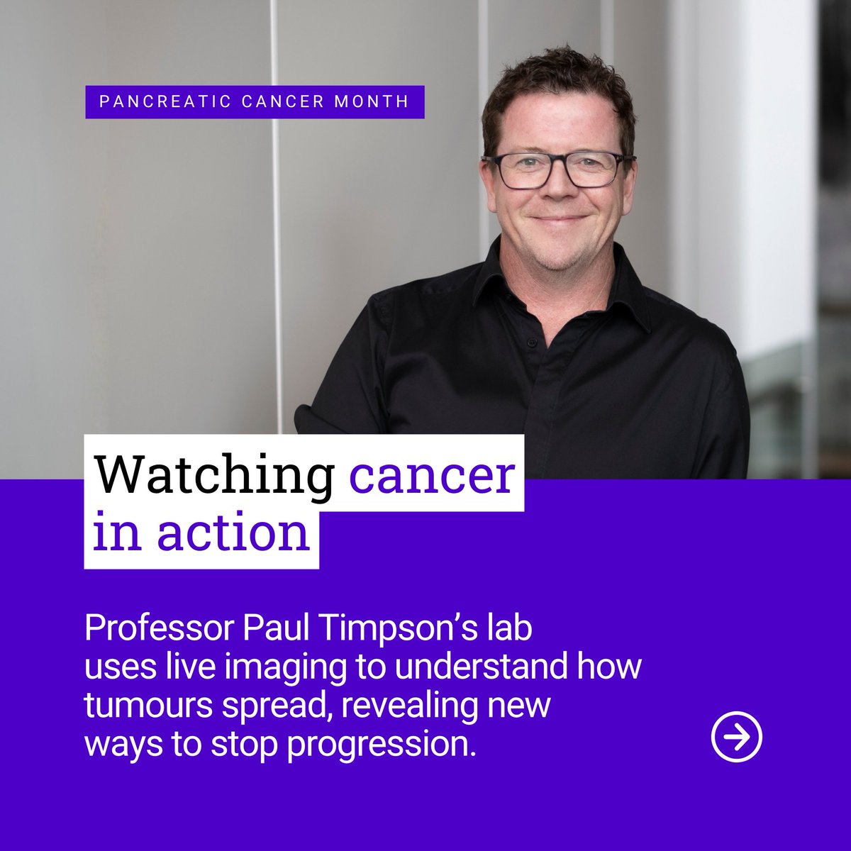 GarvanInstitute's tweet image. This Pancreatic Cancer Awareness Month: our labs bring live imaging, tumour environment expertise and resistance insights to the same urgent challenge. Their work informs each other, building understanding together. 💜
Discover our research: ow.ly/yr1l50XxiSA
