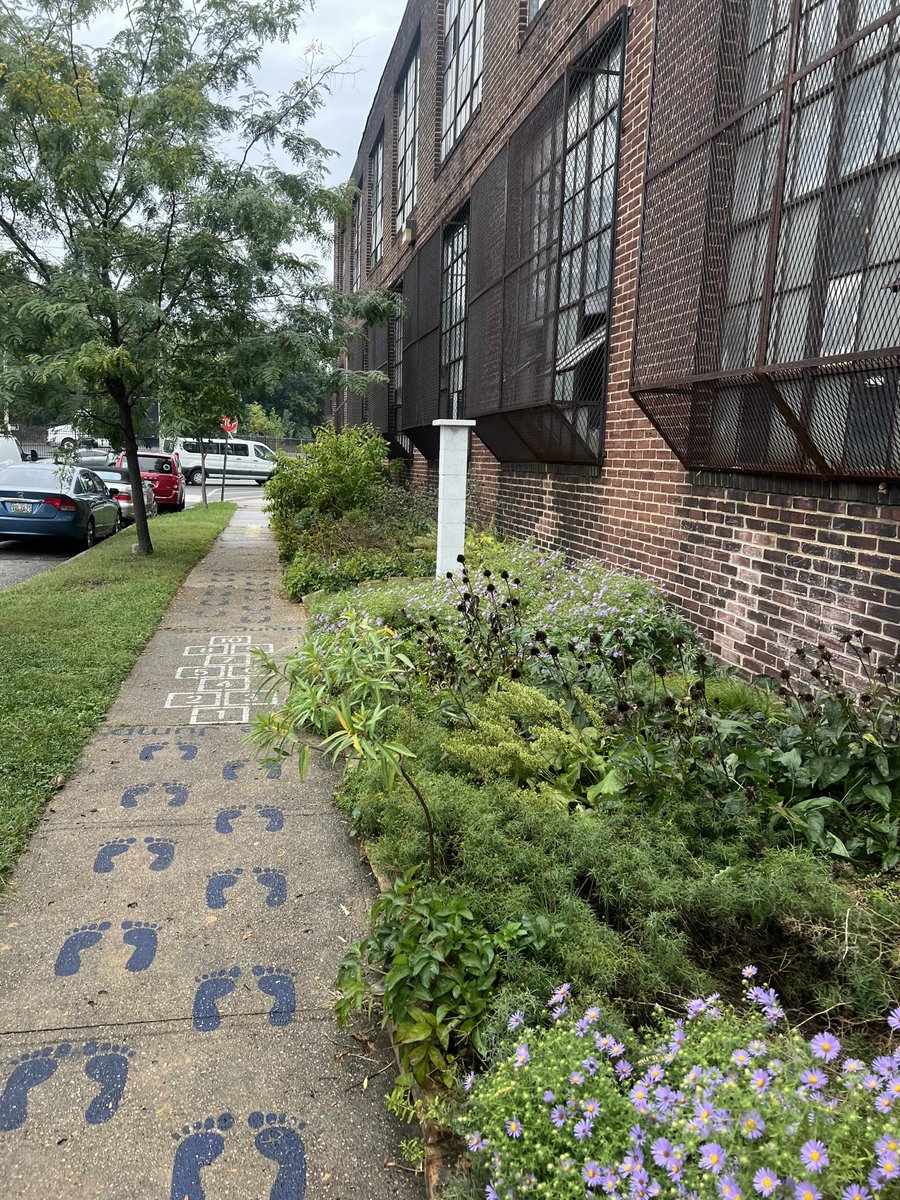 Johns Hopkins Connects tweet media