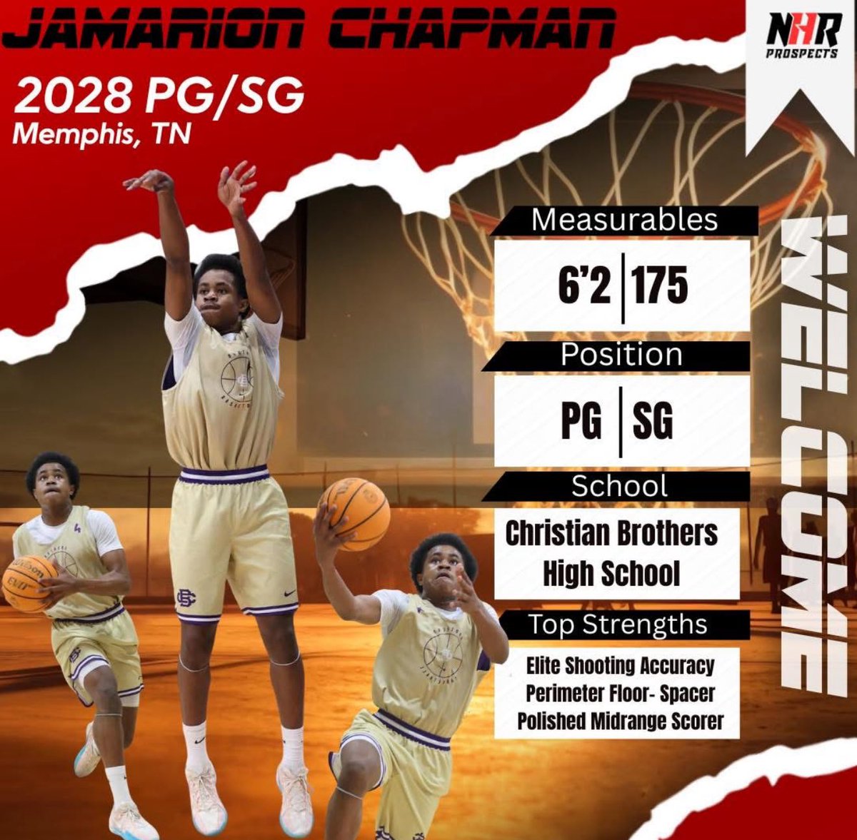 TinaFolo tweet media