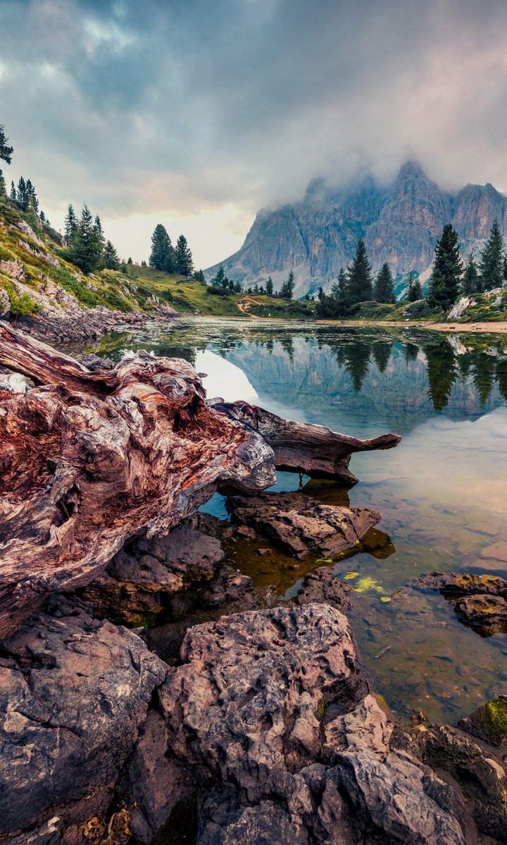 Mary__llA's tweet image. 🪼🎶˚₊· ͟͟͞͞➳❥⋆.˚🦋༘ 
✒️ Because clear waters don&apos;t confuse... 
they calm, cleanse the soul, and restore the lightness that the world sometimes steals from us.🖊

🪼🎶˚₊· ͟͟͞͞➳❥⋆.˚🦋༘