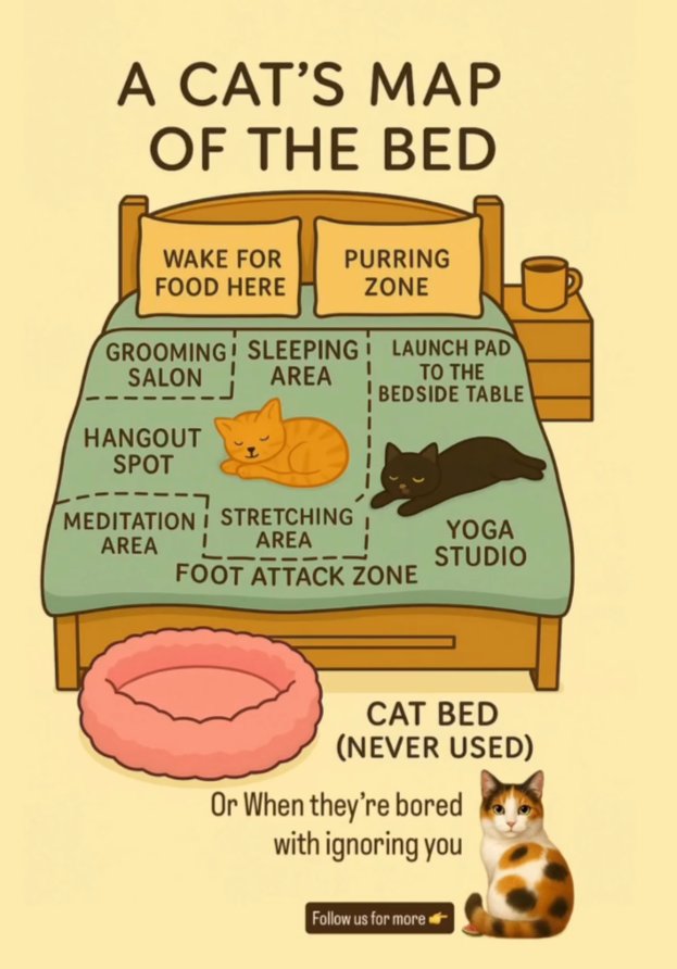 ทicк нσєƒƒℓєr tweet media