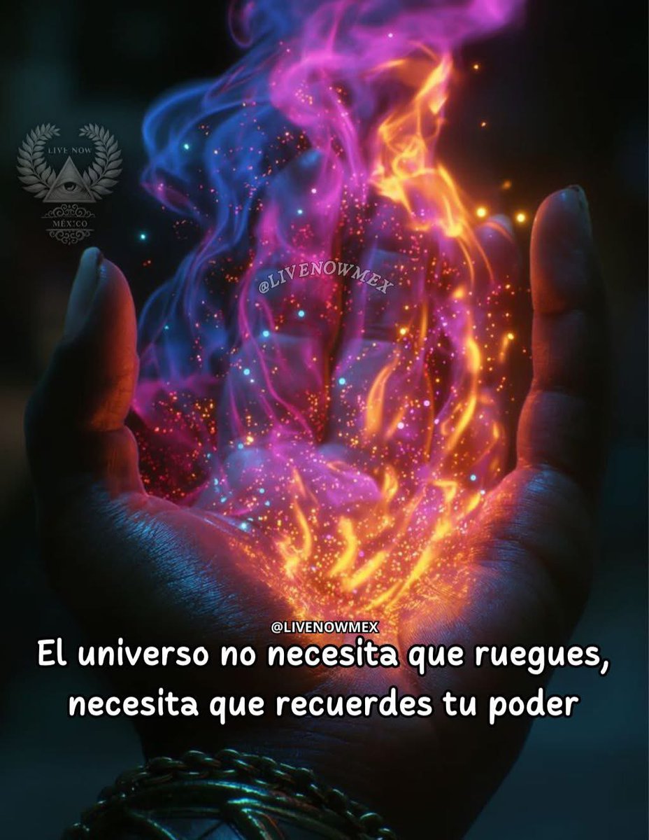 Alejandra Tamayo tweet media