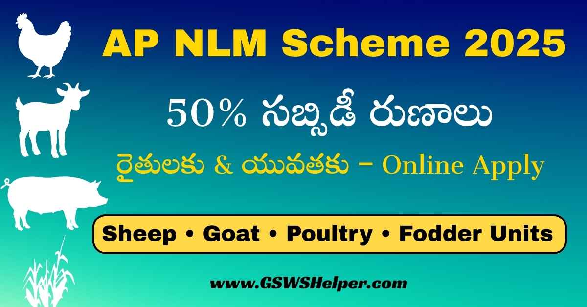 GswsHelper's tweet image. AP NLM Scheme 🚜  
Farmers &amp;amp; Youth get *50% Subsidy Loans* for Livestock Units!

Sheep/Goat • Poultry • Pig • Fodder Units

Full Guide 👇  
gswshelper.com/2025/11/ap-nlm…

#APNLM #Farmers #Subsidy #Livestock #YouthLoan