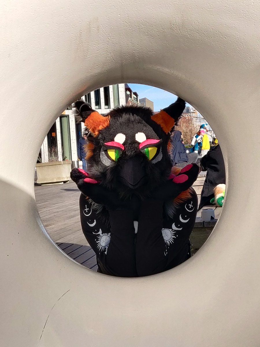 Share something you love about your fursuit/fursuit maker.

I have a suit by <a href="/TV_thari/">𓄿 ☽ • TV_thari • ☾ 𓄿</a>. She designed and made the suit. I love the little moon on the neck fluff and the color of the eyes. I had been looking for a bird suit for a long time and fell head over heels for this one ❤️