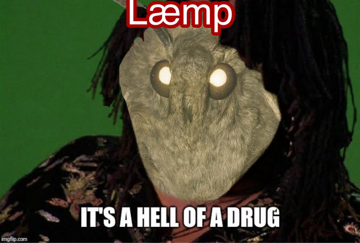 fullydunted's tweet image. 