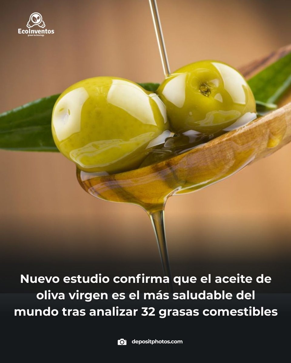 EcoInventos tweet media