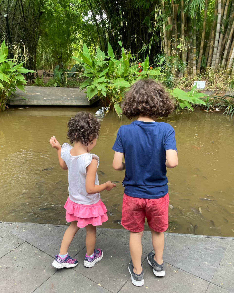 jhachescobar's tweet photo. Entre árboles, peces y risas… así se disfruta la tarde en familia. 🌱💛 https://t.co/YL6QRtLnOS