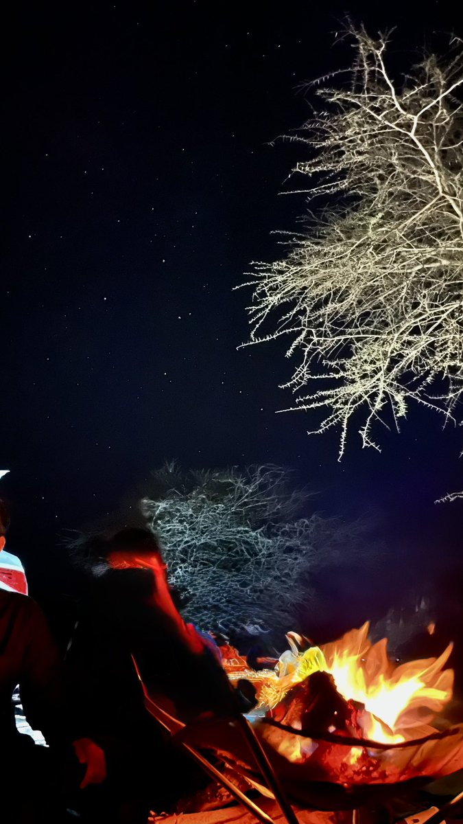 «وَصارَ اللَيلُ مُشتَمِلاً عَلَينا
كَأَنَّ اللَيلَ لَيسَ لَهُ نَهارُ»
- المهلهل